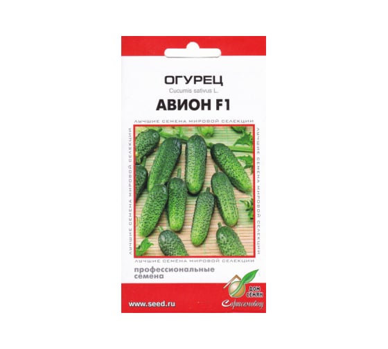 Огурец Дом Семян Авион F1 13889