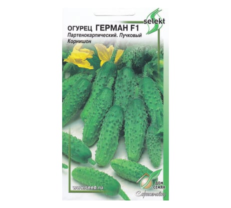 Огурец Дом Семян Герман F1 13760