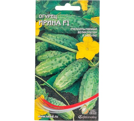 Огурец Дом Семян Ирина F1 13515