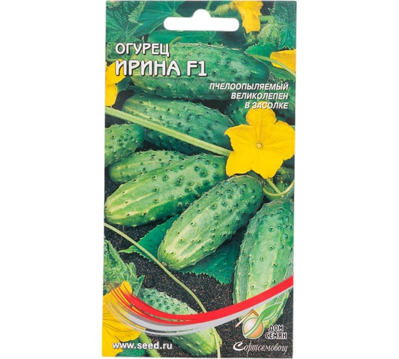 Огурец Дом Семян Ирина F1 13515 1
