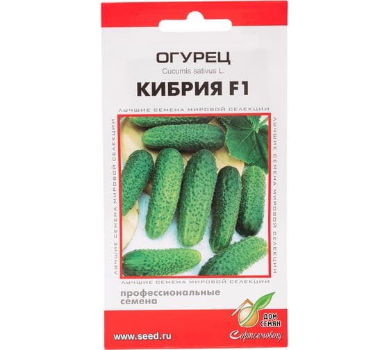 Огурец Дом Семян Кибрия F1 13799 1