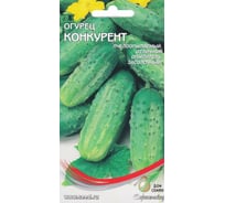 Огурец Дом Семян Конкурент 13105