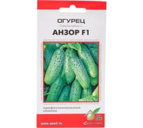 Огурец Дом Семян Анзор F1 13817