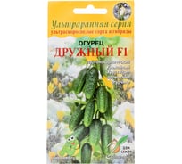 Огурец Дом Семян Дружный F1 13861