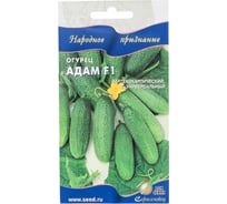 Огурец Дом Семян Адам F1 13783