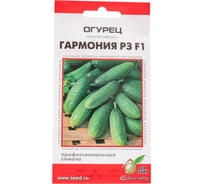 Огурец Дом Семян Гармония F1 13795