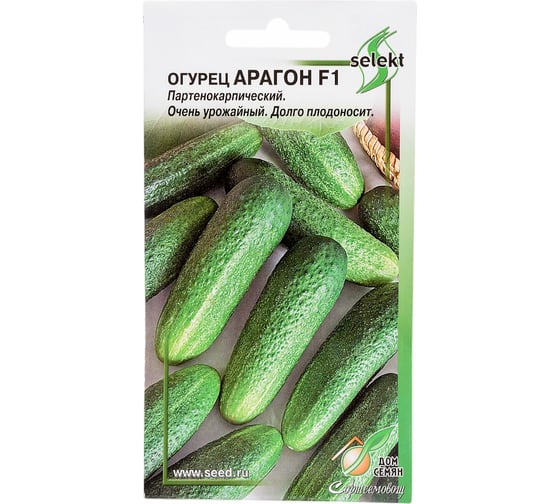 Огурец Дом Семян Арагон F1 13782 1