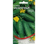 Огурец Дом Семян Засолочный 13317