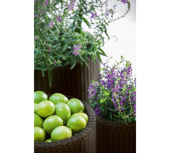Комплект кашпо Keter CYLINDER PLANTERS S+M+L, графит 230217