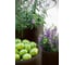 Комплект кашпо Keter CYLINDER PLANTERS S+M+L, графит 230217 5