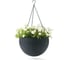 Подвесное кашпо Keter Rattan Style Hanging графит 229545 2