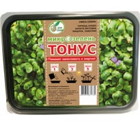 Набор микрозелень Дом Семян Тонус 80609