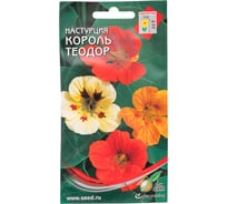 Настурция Дом Семян Король Теодор 49814