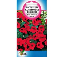 Настурция Дом Семян карлик. Везувий 49846