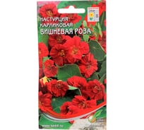 Настурция Дом Семян карлик. Вишневая Роза 49844
