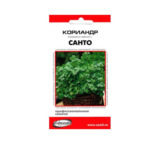 Кориандр Дом Семян Санто 25038 1