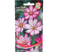Космея Дом Семян Пикоти 47305