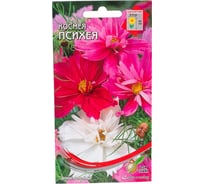 Космея Дом Семян Психея смесь 47302