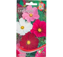 Космея Дом Семян Сенсация смесь 47303