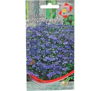 Лобелия Дом Семян Кристалл Палас 48407