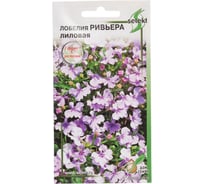 Лобелия Дом Семян Ривьера лиловая 48430