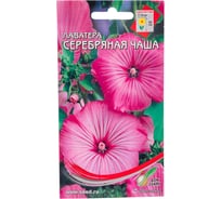 Лаватера Дом Семян Серебряная чаша 47705