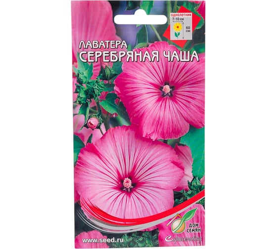 Лаватера Дом Семян Серебряная чаша 47705