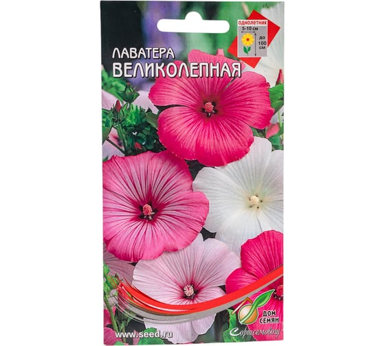 Лаватера Дом Семян Великолепная 47701 1