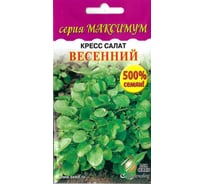 Кресс-салат Дом Семян Весенний (Максимум) 20819/4