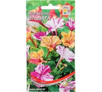 Мирабилис Дом Семян Эльвира 49531