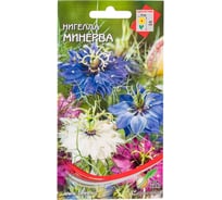 Нигелла Дом Семян Минерва 50206