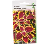 Колеус Дом Семян Визард, алый 46913