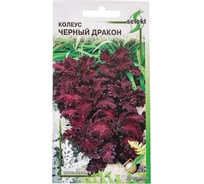 Колеус Дом Семян Чёрный Дракон 46907