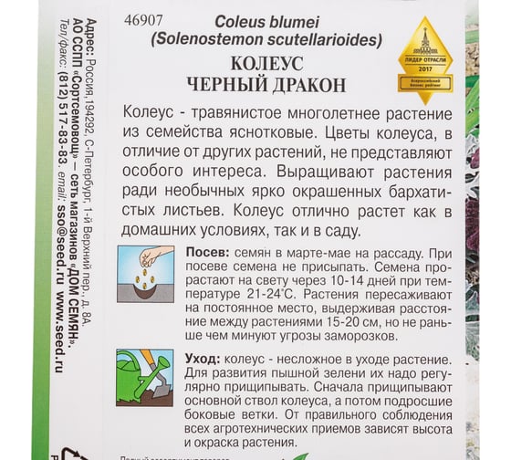 Колеус Дом Семян Чёрный Дракон 46907