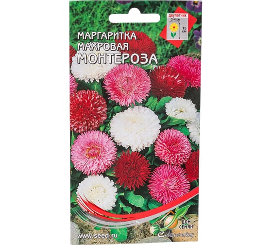 Маргаритка Дом Семян Монстроза 49100 1