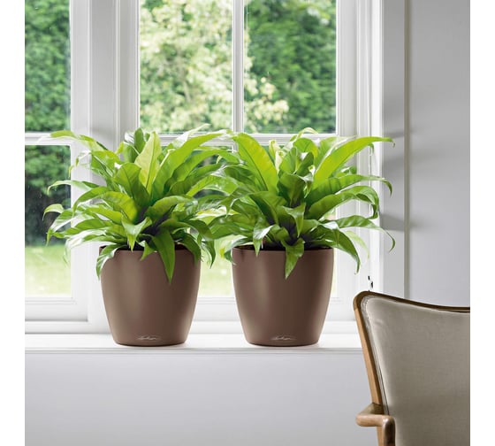 Кашпо LECHUZA Color Classico Complete 35x32 см, мускатный 13223