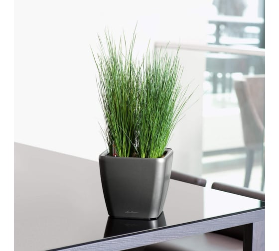 Кашпо LECHUZA Quadro LS Complete 28x28xH26 см, антрацитовый металлик 16143
