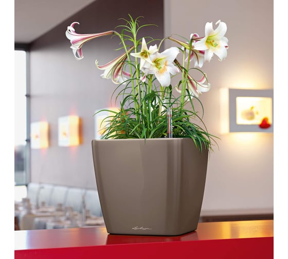 Кашпо LECHUZA Quadro LS Complete 35x35xH33 см, кофе металлик 16161