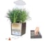 Кашпо LECHUZA Cube Premium Complete 30х30хH30 см, антрацитовый металлик 16463 6