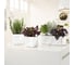 Кашпо LECHUZA Cube Glossy Complete 17x17xH16 см, белый блестящий 13520 5