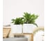 Кашпо LECHUZA Cube Glossy Complete 17x17xH16 см, белый блестящий 13520 6