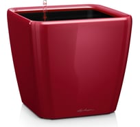 Кашпо LECHUZA Quadro LS Complete 21x21xH20 см, ярко-красный блестящий 16127