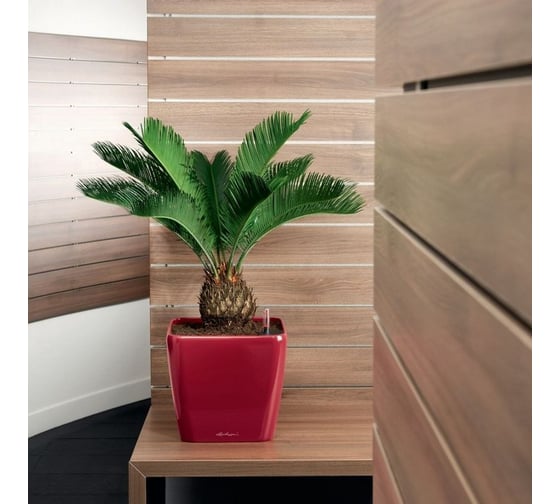 Кашпо LECHUZA Quadro LS Complete 21x21xH20 см, ярко-красный блестящий 16127
