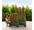 Кашпо LECHUZA TRIO Cottage Complete 100x32.5xH34.5 см, гранит 15003 6