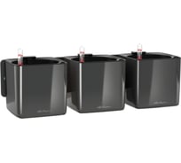 Настенный комплект LECHUZA Green Wall Home Kit Glossy 48x14xH14 см, антрацитовый блестящий 13524