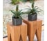 Кашпо LECHUZA Cube Glossy Complete 17x17xH16 см, антрацитовый блестящий 13521 5