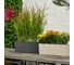 Кашпо LECHUZA Balconera Stone Complete50 графитовый черный 15652 4