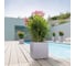 Кашпо LECHUZA Canto Complete 30x30xH30 см, бежевое 13701 8