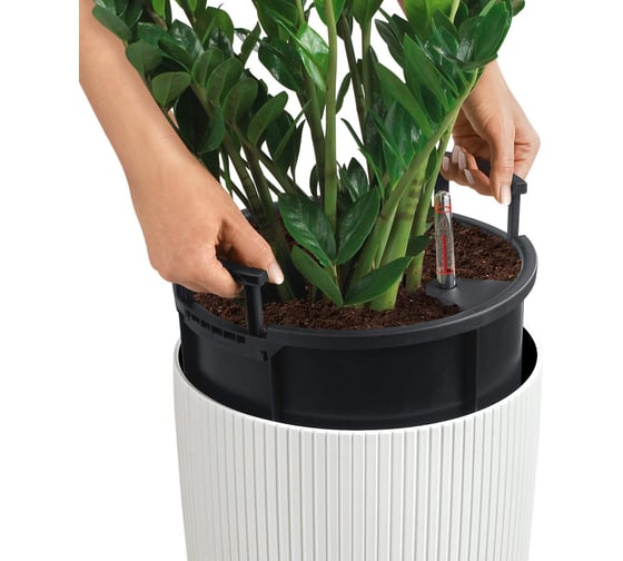 Кашпо Lechuza CLINDRO Color 32 бежевое 13956