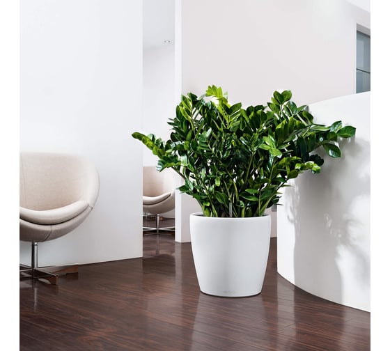 Кашпо Lechuza Color Classico Complete D35xH32 см, белое 13210